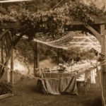 Outdoor Wedding