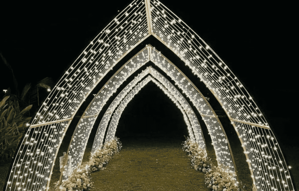Wedding Party Entrance Ideas