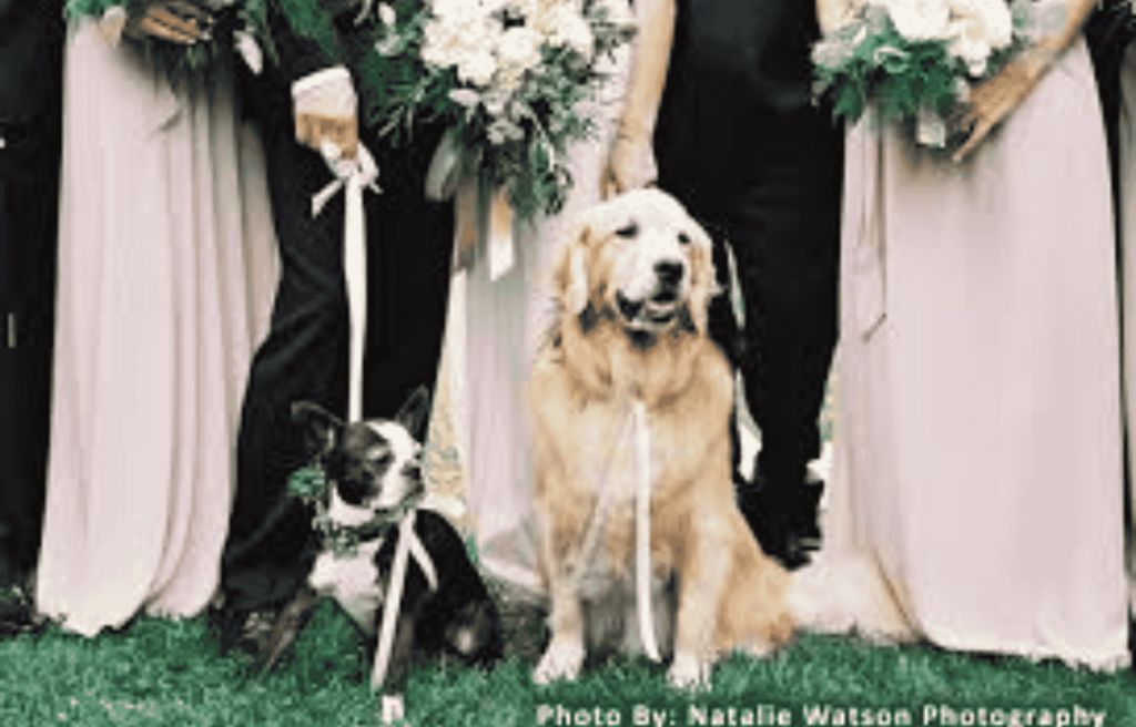 Wedding Party Entrance Ideas