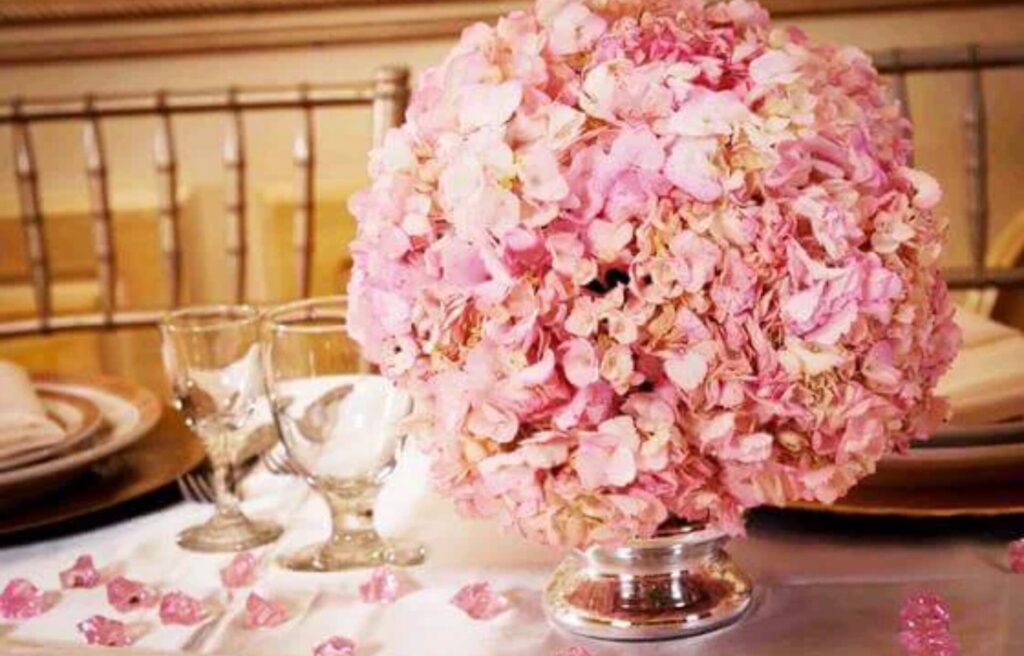 Affordable Wedding Planners In Delaware