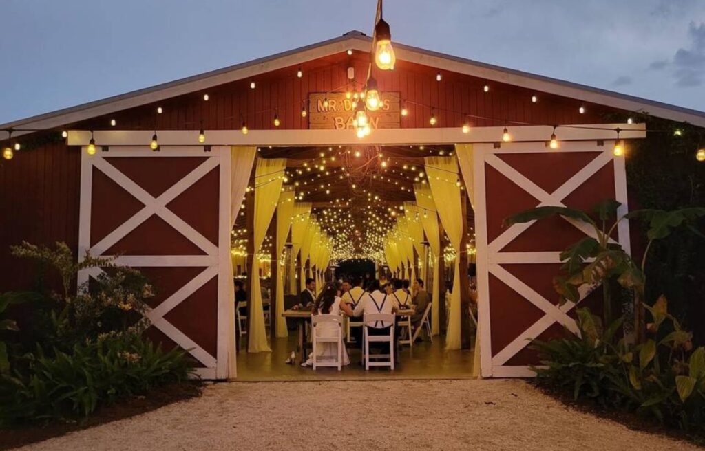 Wedding Venues In Georgia