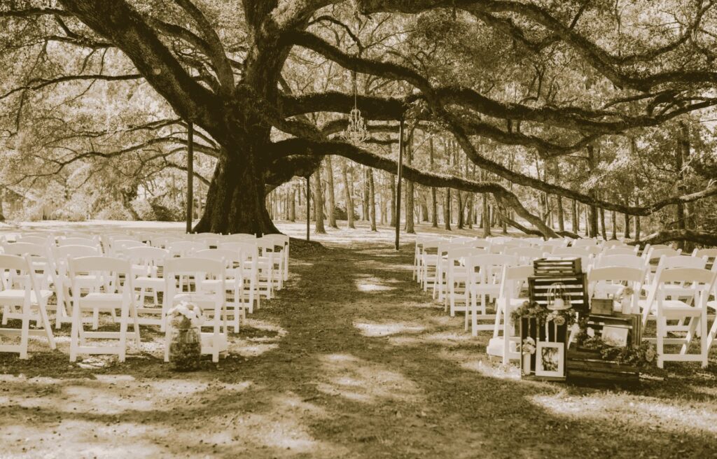 Wedding Venues In Louisiana